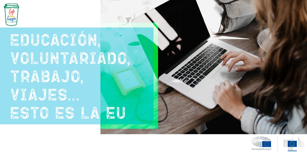 blog_educacion